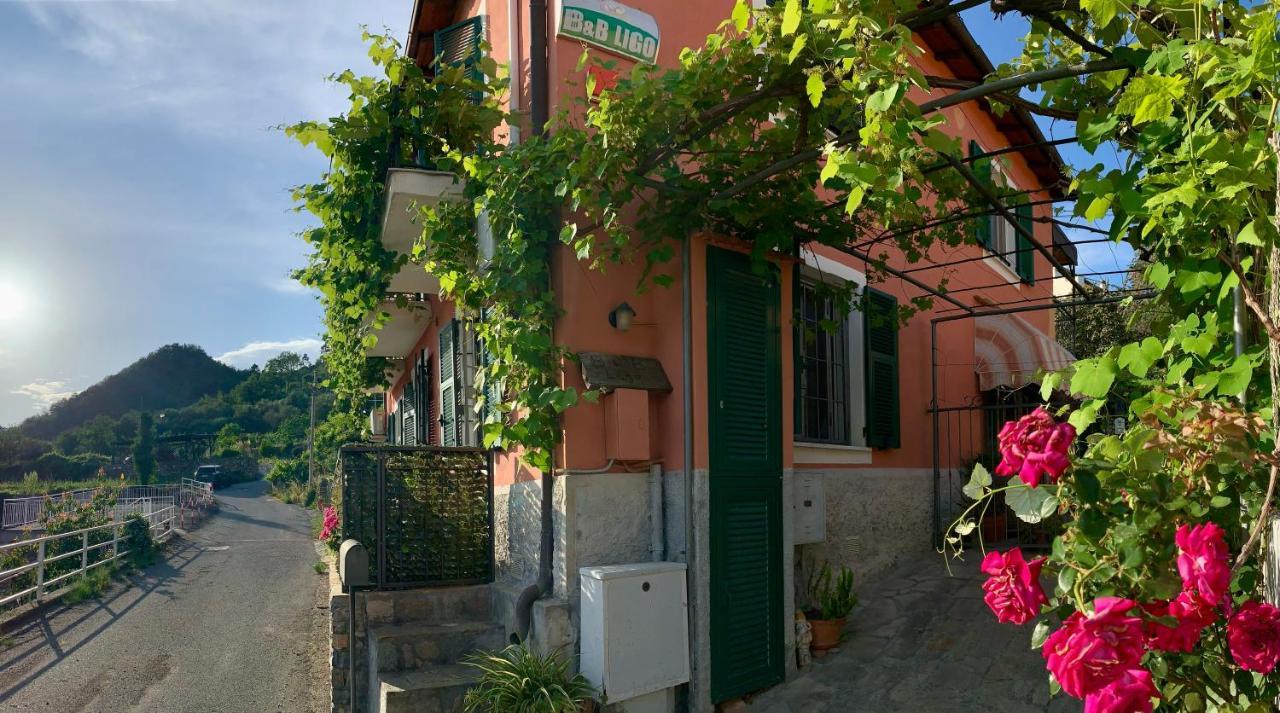 Ligo Acomodação com café da manhã Villanova d'Albenga Exterior foto