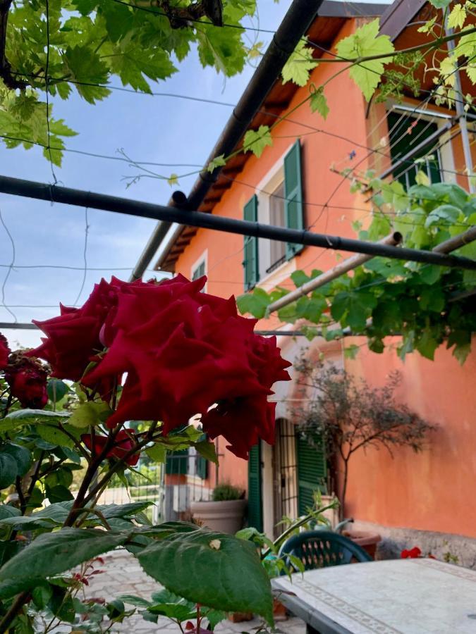 Ligo Acomodação com café da manhã Villanova d'Albenga Exterior foto