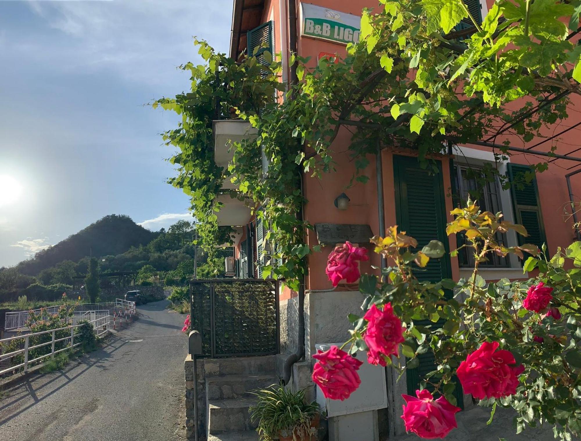 Ligo Acomodação com café da manhã Villanova d'Albenga Exterior foto