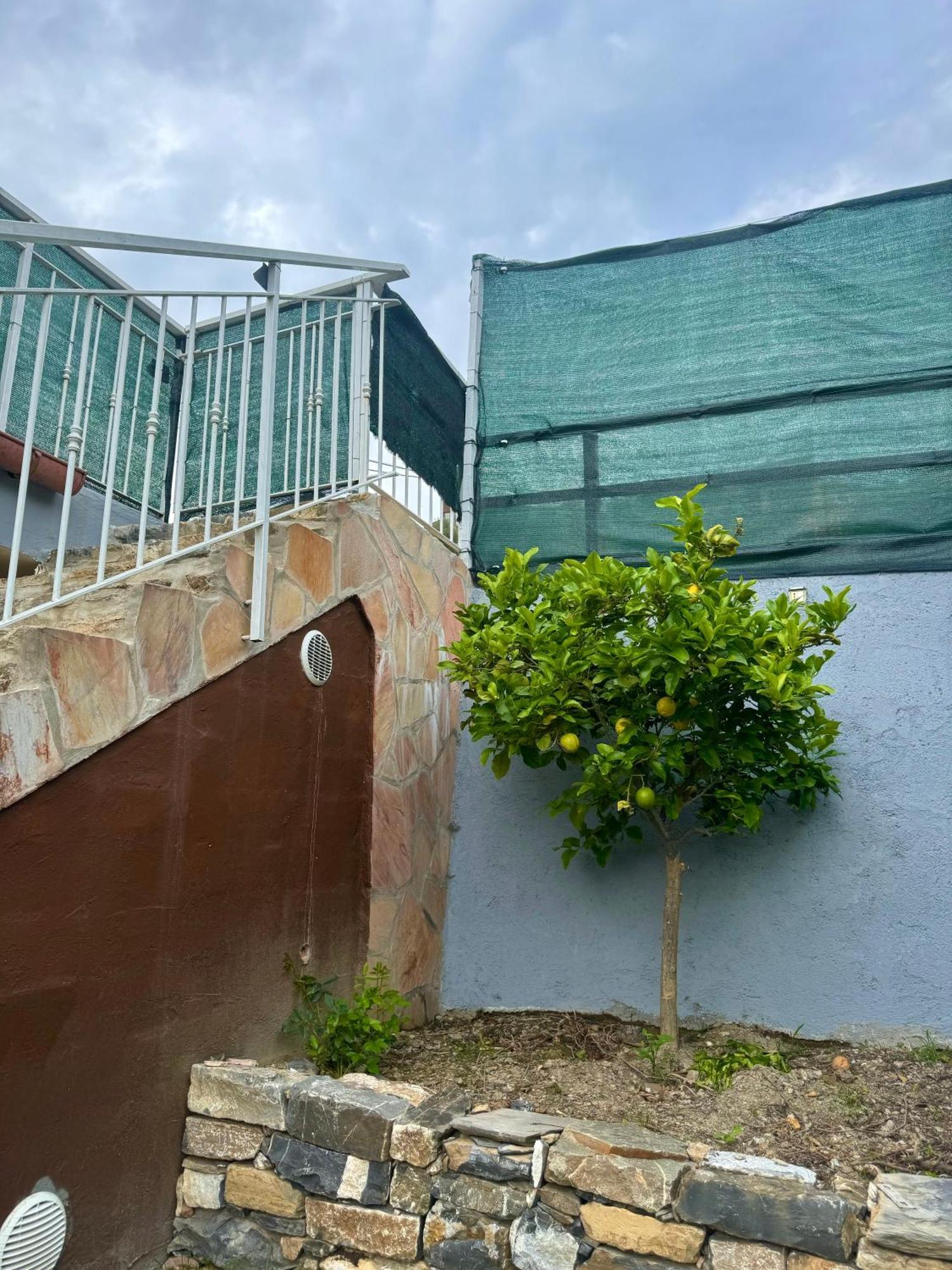 Ligo Acomodação com café da manhã Villanova d'Albenga Exterior foto