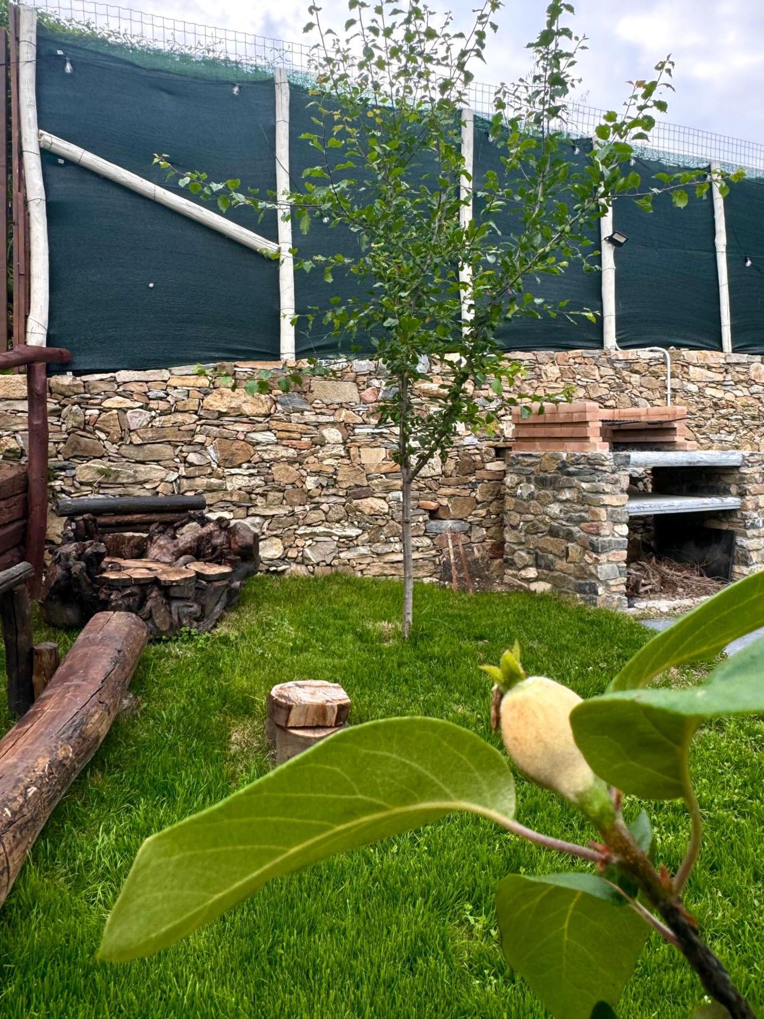 Ligo Acomodação com café da manhã Villanova d'Albenga Exterior foto